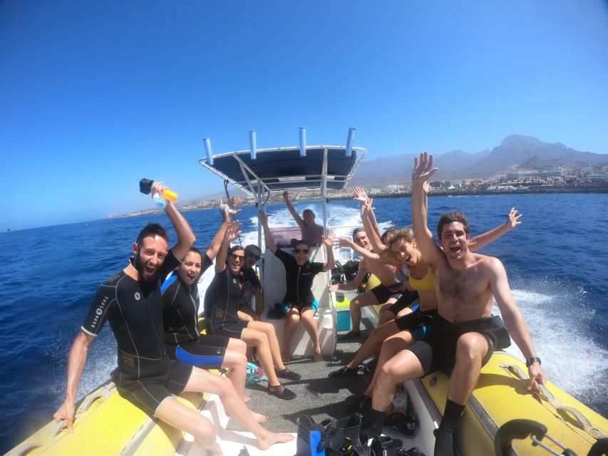 Tenerife: Snorkeling Trip in a Turtle Habitat - Is $41 good value?