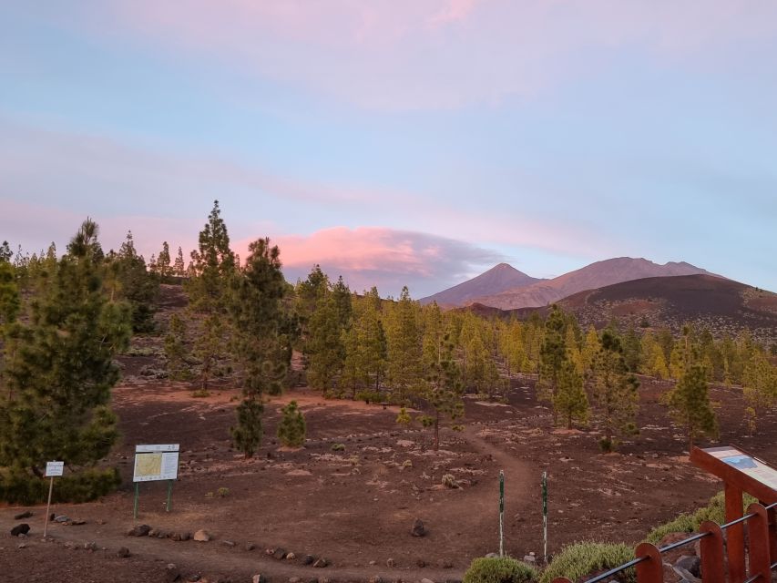 Tenerife: Sunset and Stargazing at Teide National Park - Practical booking advice for a smoother night