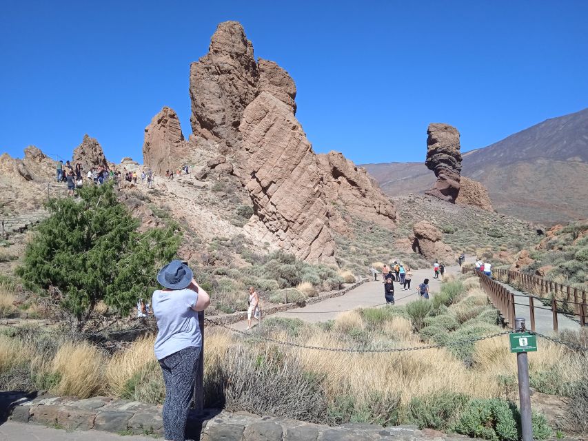 Tenerife: Teide, Icod de los Vinos & Garachico Full Day Tour - The coach, guide, and mountain roads