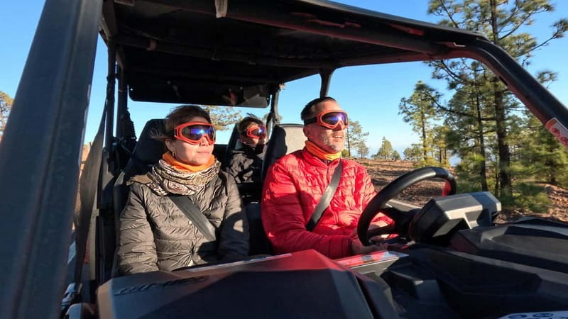 Tenerife: Teide National Park Guided Buggy Tour - Why the views are better from a buggy