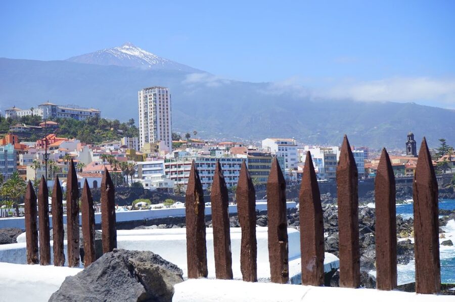 Tenerife: Trip to Puerto de la Cruz - Why Puerto de la Cruz is worth the trip north