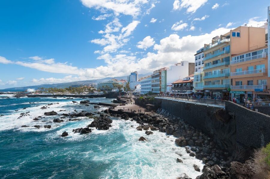 Tenerife: Trip to Puerto de la Cruz - Gardens, orchids, and the Sitio Litre visit