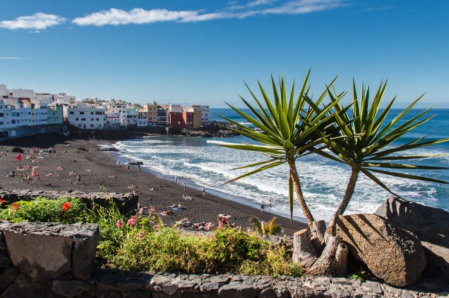 Tenerife: Trip to Puerto de la Cruz - Shopping and free time without a guide