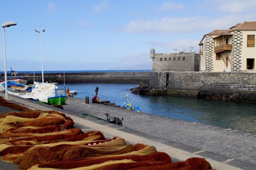Tenerife: Trip to Puerto de la Cruz - Is $28 a fair price for eight hours?