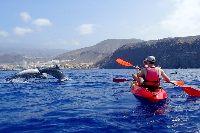 Tenerife: Turtle & Dolphin Kayak Tour with Snorkel & Wetsuit - Paddling beneath the Guaza Mountains