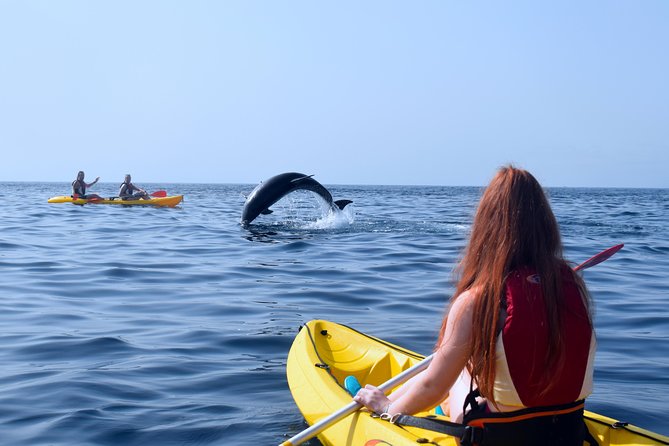 Tenerife: Turtle & Dolphin Kayak Tour with Snorkel & Wetsuit - Looking for dolphins in the open sea