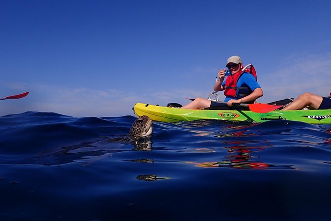 Tenerife: Turtle & Dolphin Kayak Tour with Snorkel & Wetsuit - Guides make the difference