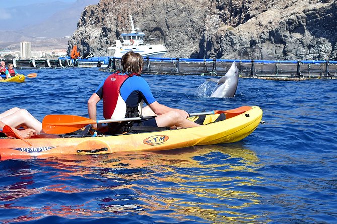 Tenerife: Turtle & Dolphin Kayak Tour with Snorkel & Wetsuit - How hard is the three-hour outing?