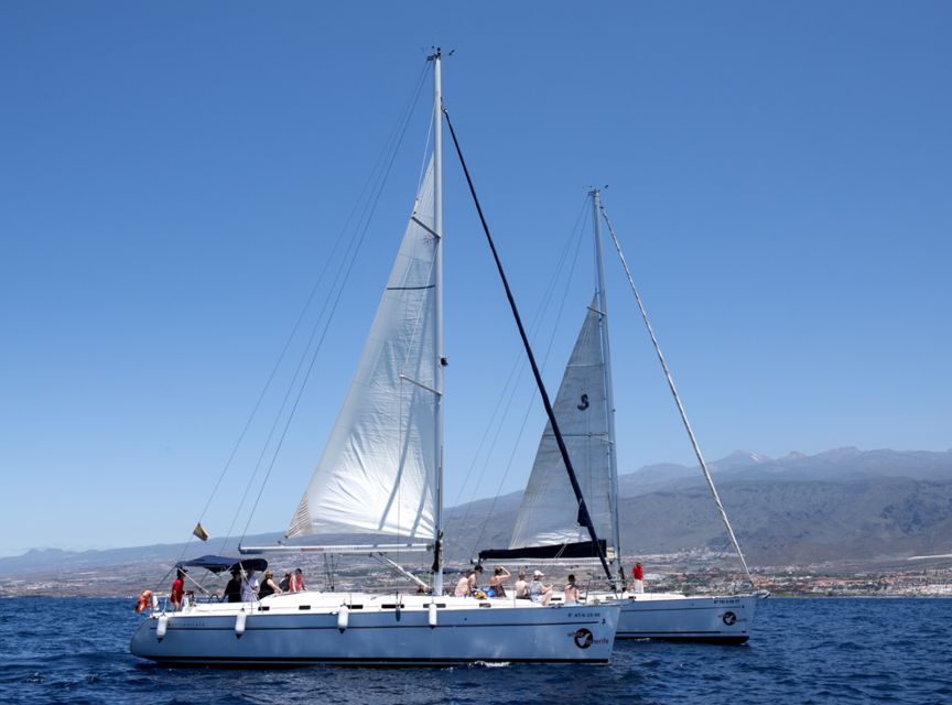 Tenerife: Whale and Dolphin Watching Tour by Sailboat - FAQ