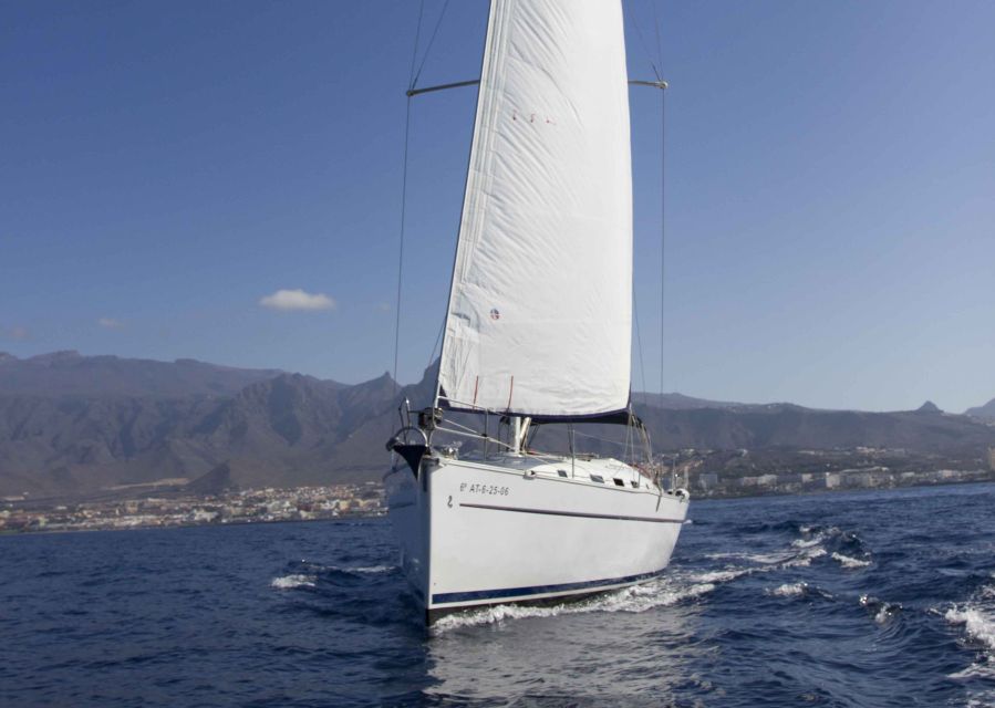 Tenerife: Whale and Dolphin Watching Tour by Sailboat - A swim stop in clear Atlantic water