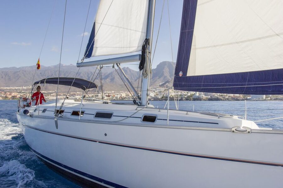 Tenerife: Whale and Dolphin Watching Tour by Sailboat - Food, drinks, and life on deck