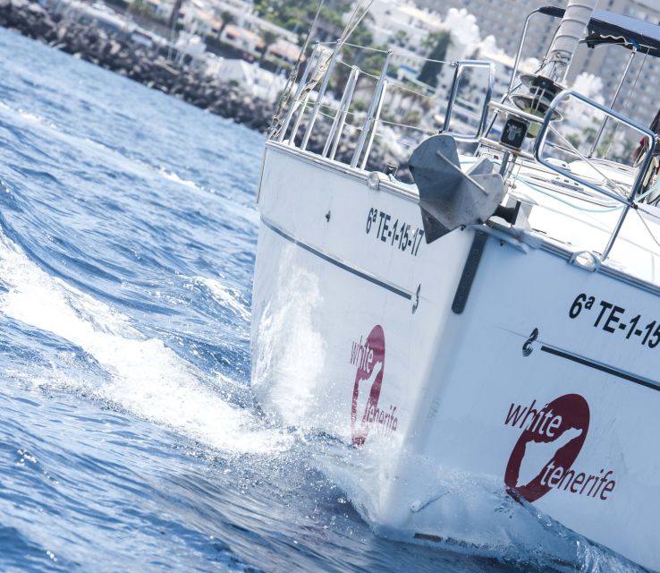 Tenerife: Whale and Dolphin Watching Tour by Sailboat - Who will enjoy this boat trip most?
