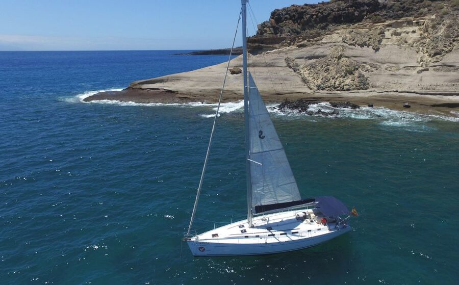 Tenerife: Whale and Dolphin Watching Tour by Sailboat - Watching whales and dolphins in open Atlantic water