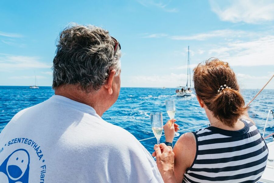 Tenerife: Whale & Dolphin Watching with Drinks and Snacks - A Quiet Bay for Swimming and Snorkeling