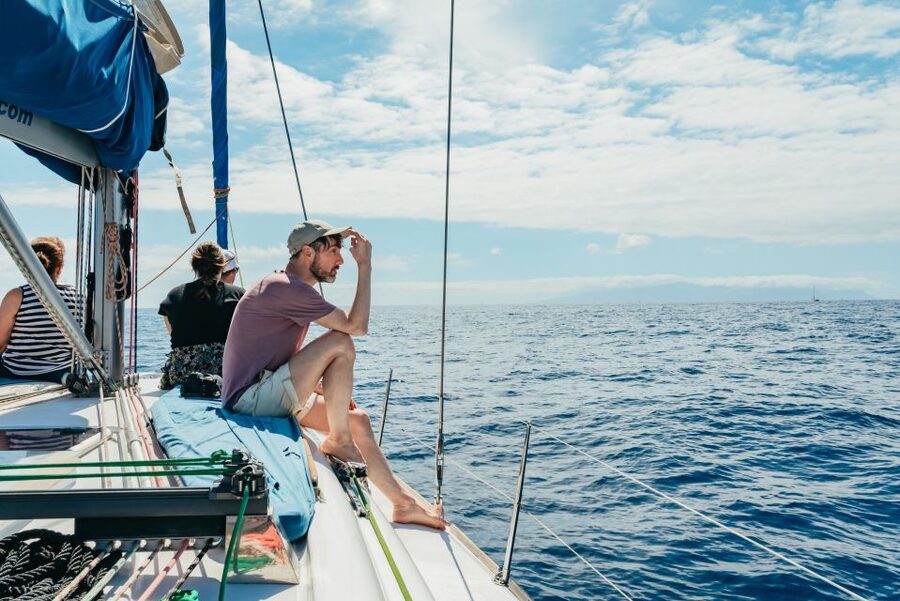 Tenerife: Whale & Dolphin Watching with Drinks and Snacks - Value at $77 Per Person