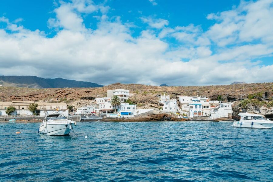 Tenerife: Whale & Dolphin Watching with Drinks and Snacks - Who Should Book This Yacht Trip?