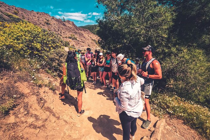 The Volcano Heart Tour: Hiking, Tasting and Sunset Experience - Why this tour gives you more than a beach day