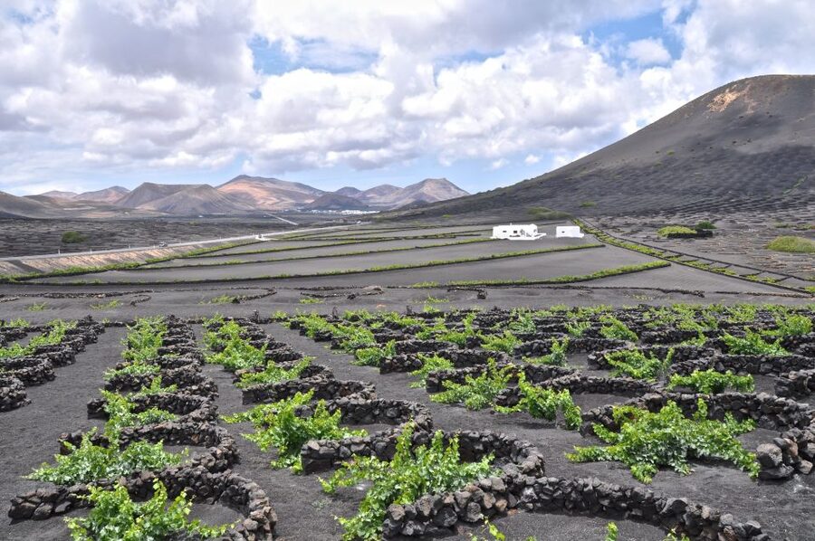 Timanfaya And El Golfo For Cruise Passengers (Mornings) - Timanfaya National Park and the Fire Mountains