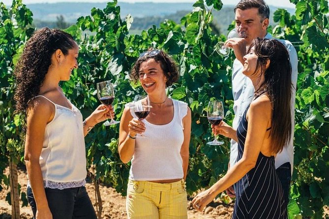 Toledo Tour & Vineyard Walk with Wine Tasting from Madrid - A practical start in central Madrid