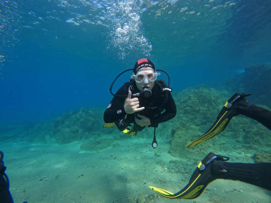 Tossa de Mar: PADI Discovery Scuba Diving in Costa Brava - Forty-five minutes among Costa Brava sea life