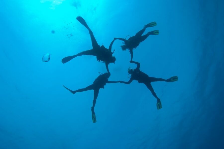 Tossa de Mar: PADI Discovery Scuba Diving in Costa Brava - The instructors make the biggest difference