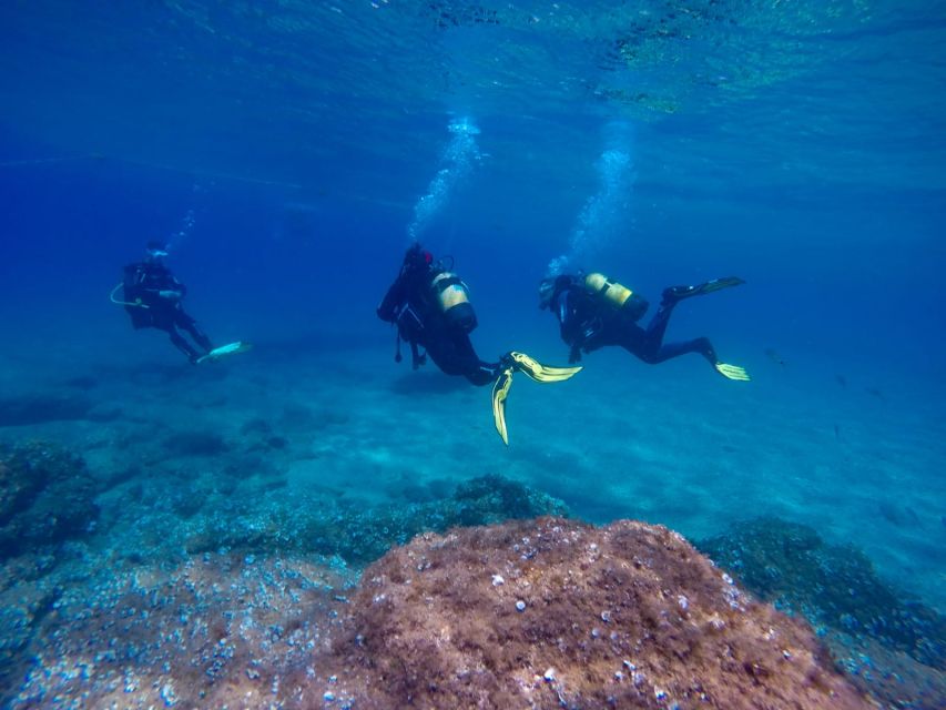 Tossa de Mar: Scuba Diving Experience for Beginners - Arriving at Tossasub Diving Center