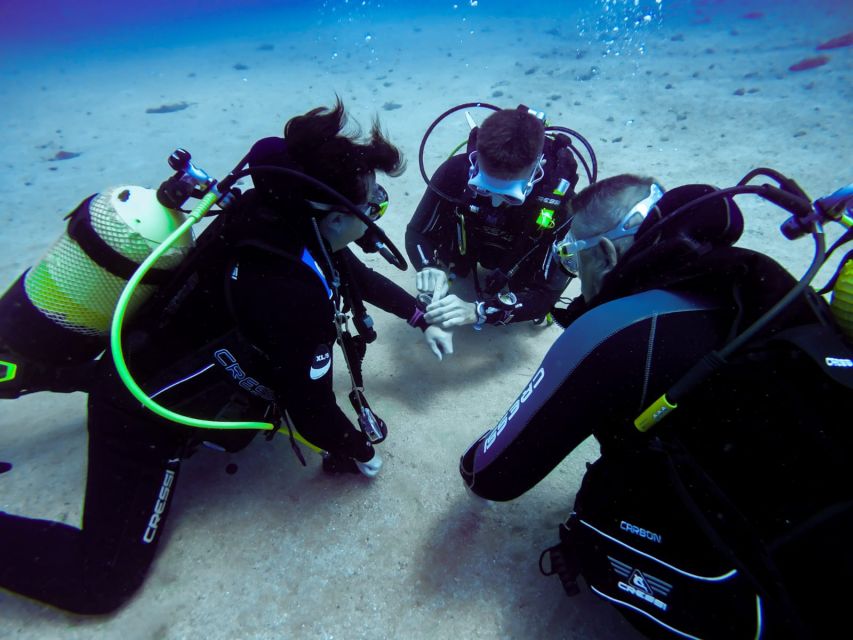 Tossa de Mar: Scuba Diving Experience for Beginners - Practical tips for a smoother first attempt
