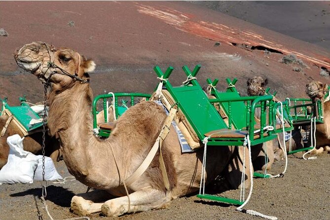 Tour to Timanfaya, Jameos del Agua, Cueva de los Verdes and viewpoint from the cliff - Timanfaya National Park: the day’s main event