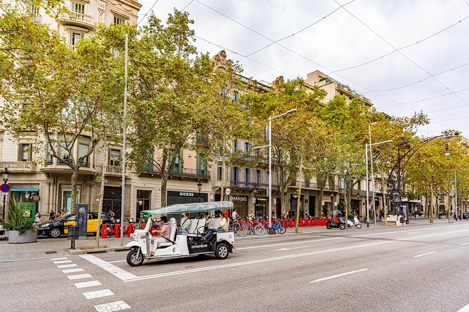 Tour Welcome Barcelona with Local Guide in Eco Tuk Tuk Private - Montjuïc, the port, and the waterfront