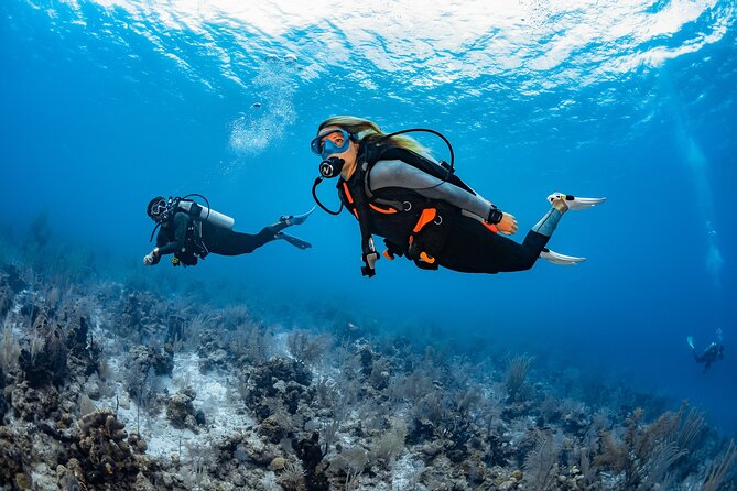 Try Dive - PADI Discover Scuba Diving in Tenerife - Why a try-scuba session makes sense in Tenerife