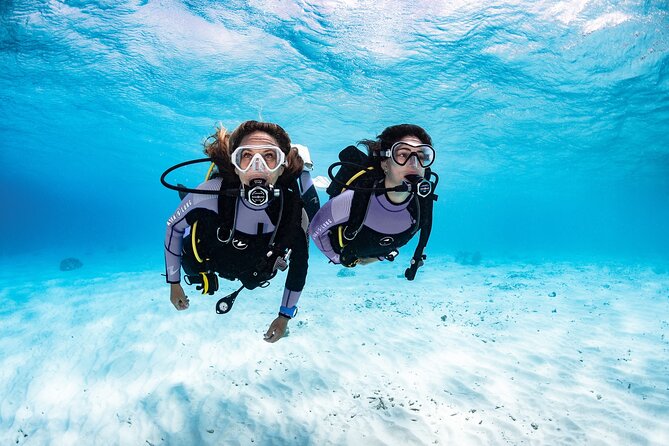 Try Dive - PADI Discover Scuba Diving in Tenerife - Starting at Scubanana in Radazul