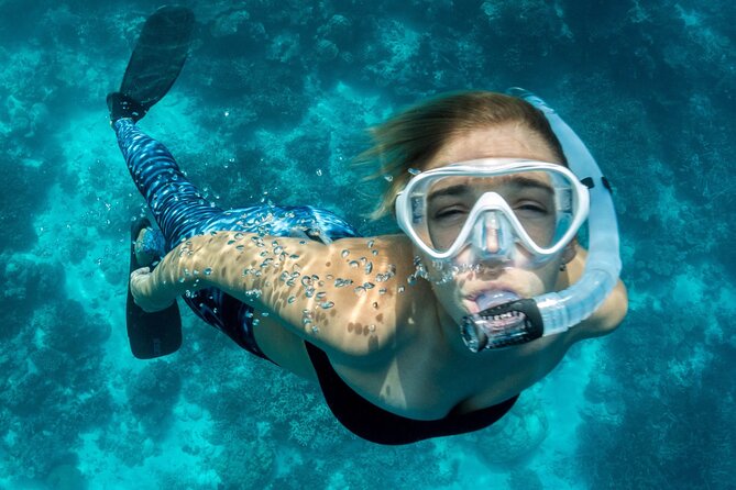 Uncharted Marine Reserve Cave, Snorkel & Cliff Jumping Kayak Tour - The San Antonio Marine Reserve snorkeling stop