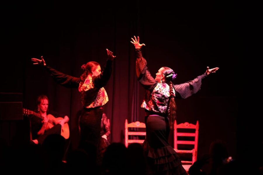 Valencia: Authentic Flamenco Show Entry Ticket - What the Valencia Flamenco Show Is Really Like