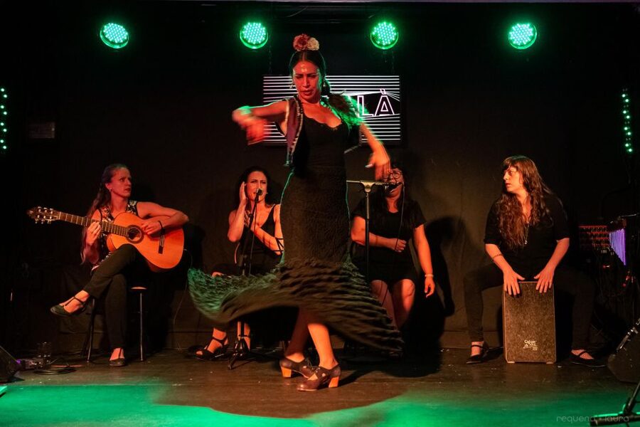 Valencia: Authentic Flamenco Show Entry Ticket - Why the Small Room Matters