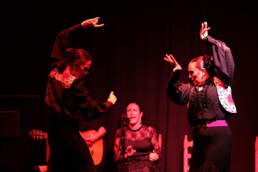Valencia: Authentic Flamenco Show Entry Ticket - Practical Tips for a Better Seat and Smoother Visit