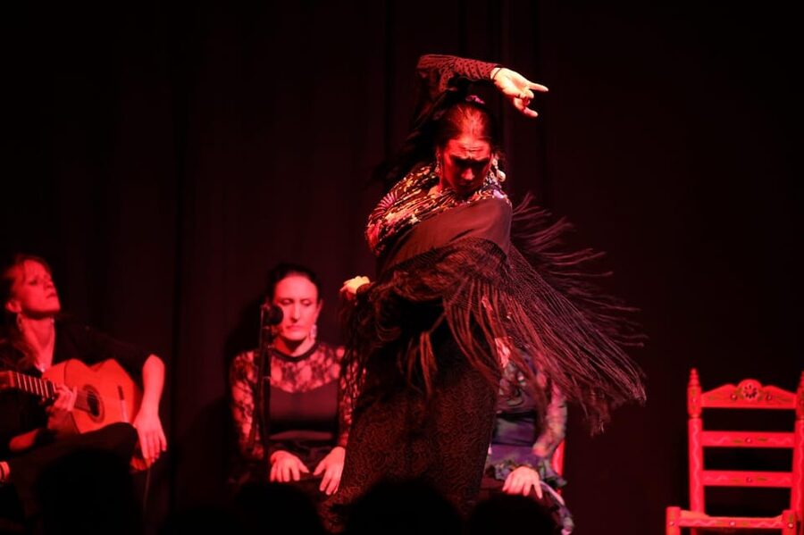 Valencia: Authentic Flamenco Show Entry Ticket - The Guitar, Voice, and Footwork