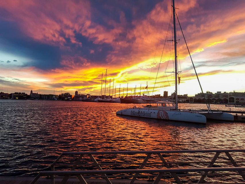 Valencia: Catamaran Cruise with Sunset Option - The best way to plan your sailing