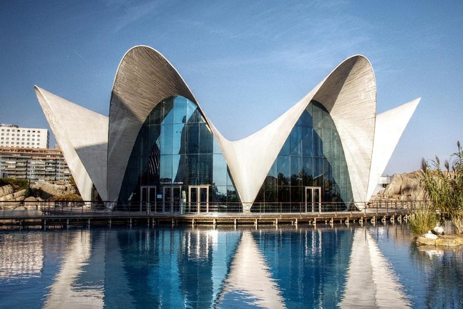 Valencia City Excursion - From Albir, Benidorm & Calpe - Choosing the Oceanografic Centre or Mestalla Stadium