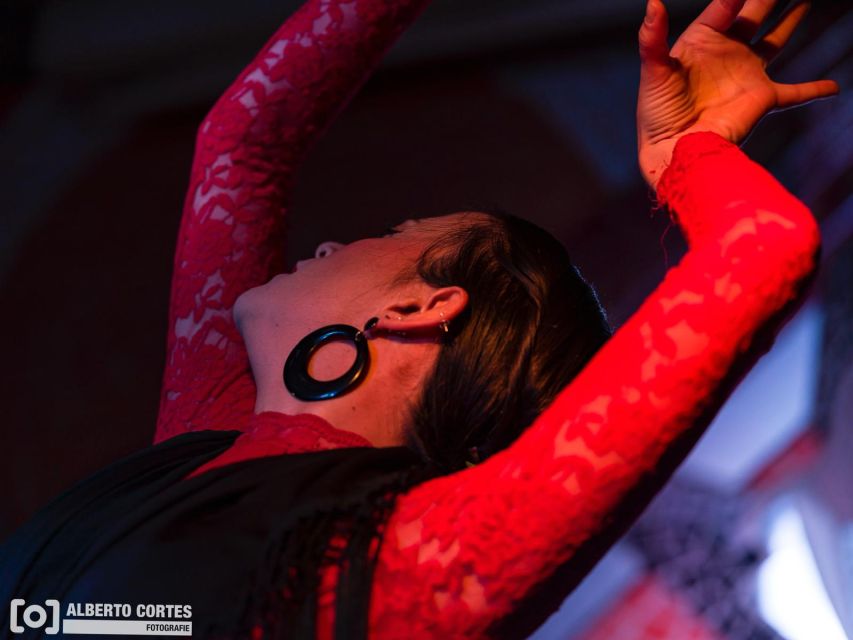 Valencia: Flamenco at Toro y La Luna with optional Dinner - The flamenco performance: seven artists, strong emotion