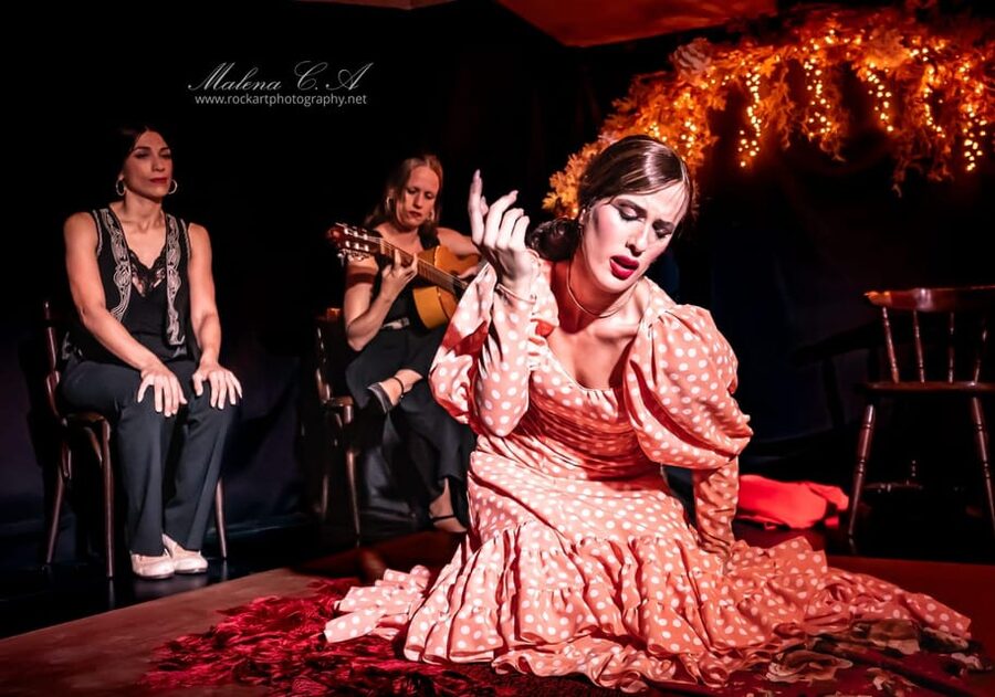 Valencia: Flamenco Show at Tablao La Reina - A close-up flamenco hour in central Valencia