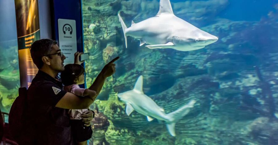 Valencia: Oceanogràfic Entry Ticket - Key things to know before you go