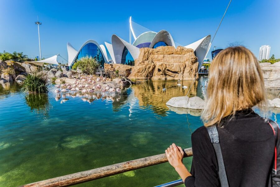 Valencia: Oceanogràfic Entry Ticket - Travel through the Mediterranean, Arctic, and Antarctic