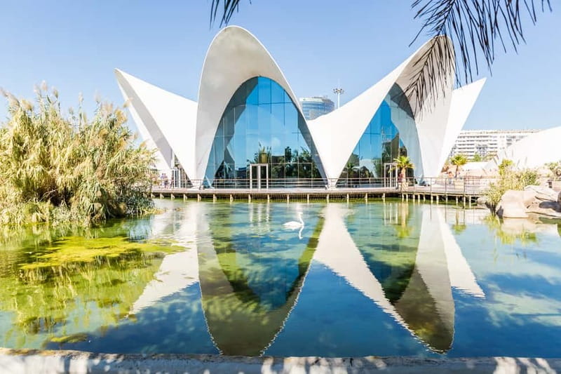 Valencia: Oceanogràfic, Hemisfèric & Science Museum Combo - Hemisfèric: book the film, not just the building