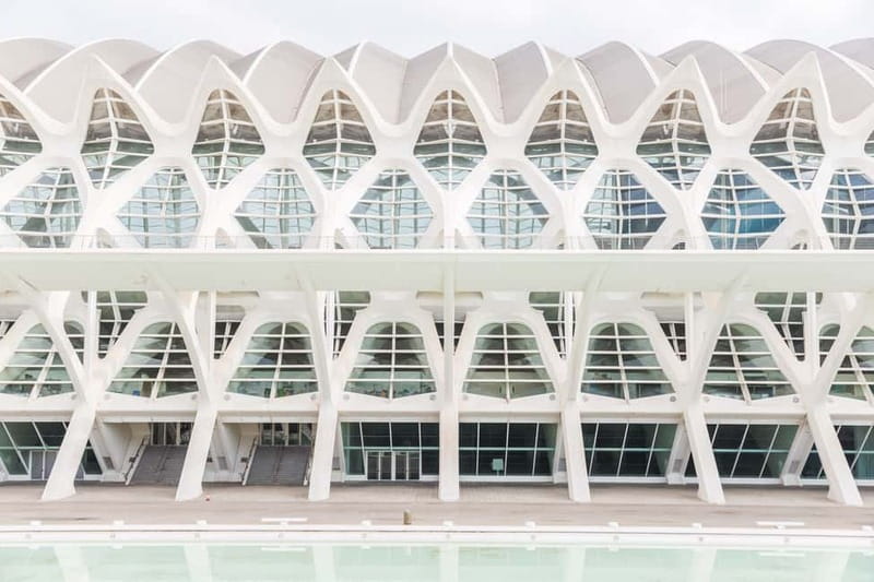 Valencia: Oceanogràfic, Hemisfèric & Science Museum Combo - A realistic one-day plan