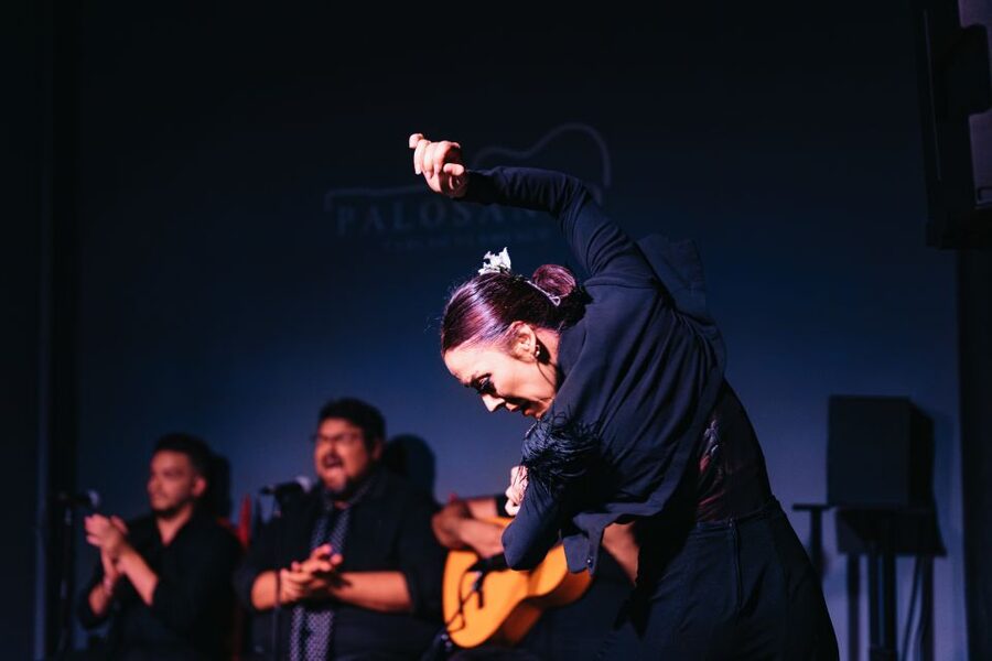 Valencia: Palosanto Flamenco Show Ticket - Reaching Palosanto in Valencia’s Cabanyal neighborhood