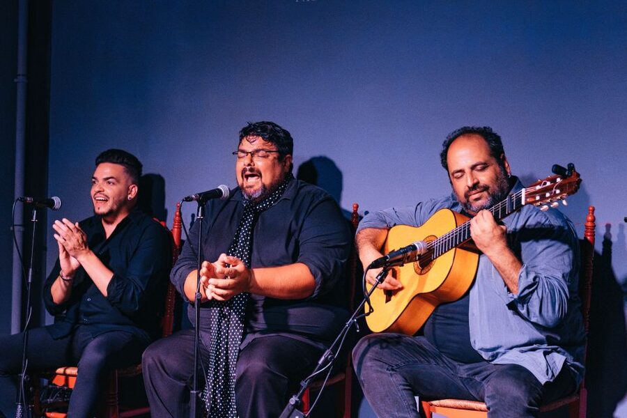 Valencia: Palosanto Flamenco Show Ticket - What the flamenco performance brings together