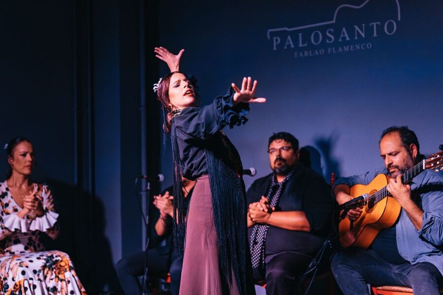 Valencia: Palosanto Flamenco Show Ticket - Drinks, snacks, and the after-show atmosphere