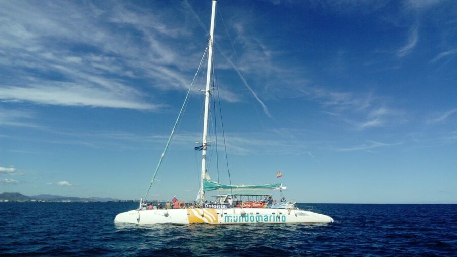 Valencia: Sailing Catamaran Cruise with Valencian Lunch - What The Crew And Atmosphere Are Like