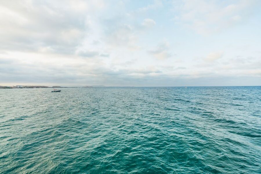 Valencia: Sunset or Daytime Catamaran Cruise with Drink - What the cruise does well for $18