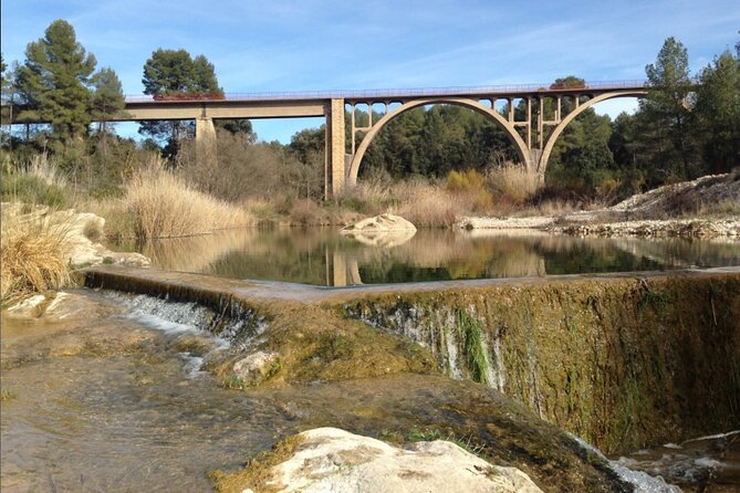 Via Verde Cretes - Pinell de Brai 27km (90% dec. 10% flat) - Starting in Cretas Among Vineyards and Olive Trees